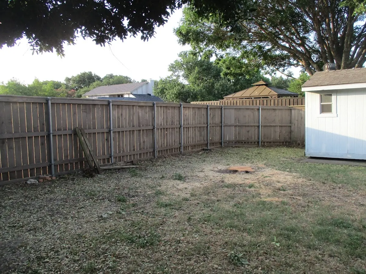 Cleared yard after professional tree removal in Cedar Hill